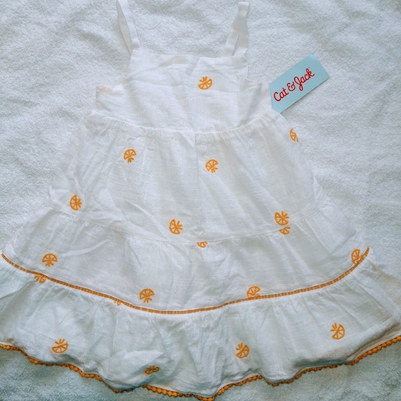 Cat & Jack Other - 🇺🇲 cat and jack Girl dress embroidery size 18 mo